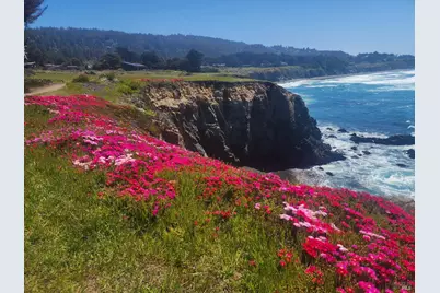 68 Black Point, The Sea Ranch, CA 95497 - Photo 13