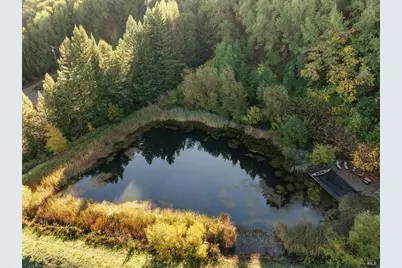 1194 Felta Road, Healdsburg, CA 95448 - Photo 39