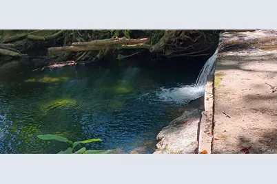 1194 Felta Road, Healdsburg, CA 95448 - Photo 49