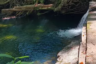 1194 Felta Rd, Healdsburg, CA 95448 - Photo 49