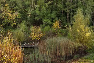 1194 Felta Road, Healdsburg, CA 95448 - Photo 5