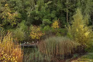 1194 Felta Rd, Healdsburg, CA 95448 - Photo 5