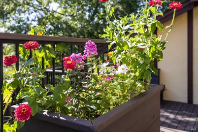 3541 Foxwood Place, Santa Rosa, CA 95405 - Photo 39