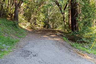 24675 Birch St, Willits, CA 95490 - Photo 67