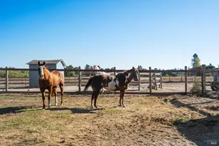 5111 Todd Rd, Sebastopol, CA 95472 - Photo 21