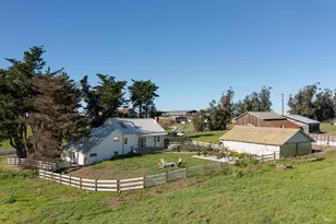 3150 Pepper Rd, Petaluma, CA 94952 - Photo 73