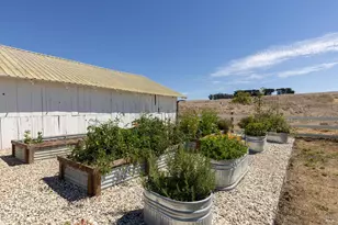 3150 Pepper Rd, Petaluma, CA 94952 - Photo 43