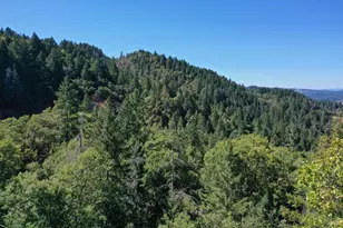 18500 Shafer Ranch Rd, Willits, CA 95490 - Photo 25