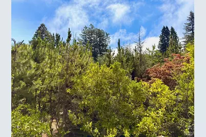 3700 Deer Meadow Lane, Occidental, CA 95465 - Photo 15