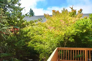 3700 Deer Meadow Ln, Occidental, CA 95465 - Photo 11