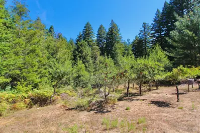 3700 Deer Meadow Lane, Occidental, CA 95465 - Photo 55