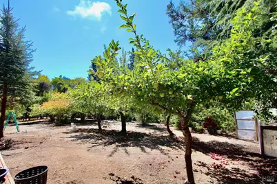 3700 Deer Meadow Lane, Occidental, CA 95465 - Photo 39