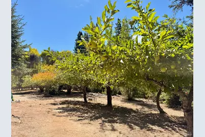 3700 Deer Meadow Lane, Occidental, CA 95465 - Photo 57