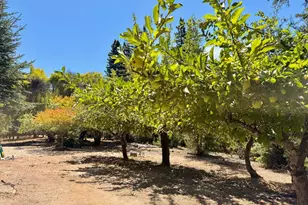 3700 Deer Meadow Ln, Occidental, CA 95465 - Photo 57