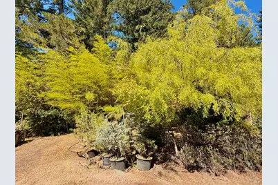 3700 Deer Meadow Lane, Occidental, CA 95465 - Photo 41