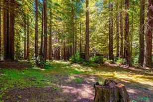 17900 Appian Way, Navarro, CA 95463 - Photo 55