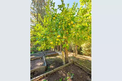 17900 Appian Way, Navarro, CA 95463 - Photo 39