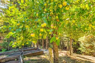 17900 Appian Way, Navarro, CA 95463 - Photo 39