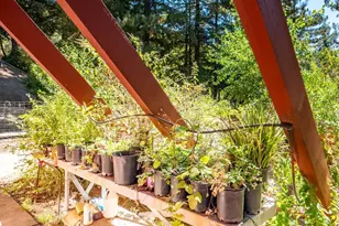 17900 Appian Way, Navarro, CA 95463 - Photo 35