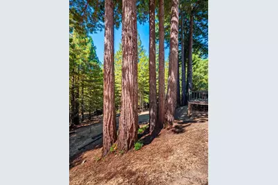 17900 Appian Way, Navarro, CA 95463 - Photo 41