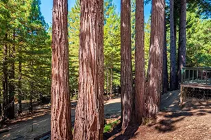 17900 Appian Way, Navarro, CA 95463 - Photo 41