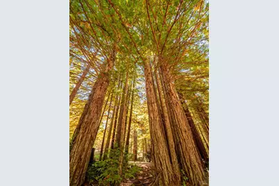 17900 Appian Way, Navarro, CA 95463 - Photo 59