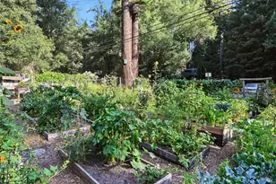 14831 Canyon 7 Rd, Guerneville, CA 95446 - Photo 49