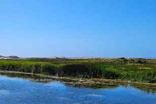 145 Bean Ave, Bodega Bay, CA 94923 - Photo 47