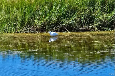 145 Bean Avenue, Bodega Bay, CA 94923 - Photo 45