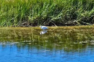 145 Bean Ave, Bodega Bay, CA 94923 - Photo 45