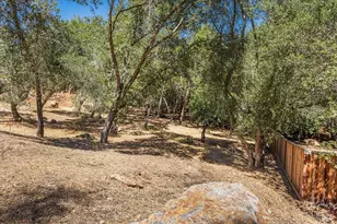 794 Los Olivos Rd, Santa Rosa, CA 95404 - Photo 3
