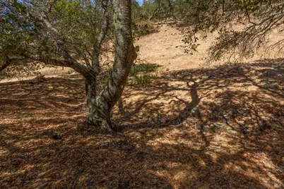 743 Bridle Ridge Court, Fairfield, CA 94534 - Photo 51