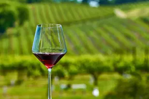 2626 Rockville Rd, Fairfield, CA 94534 - Photo 21