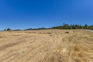 9820 Kelsey Creek Dr, Kelseyville, CA 95451 - Photo 23