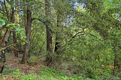 17097 Dogwood Way, Middletown, CA 95461 - Photo 31