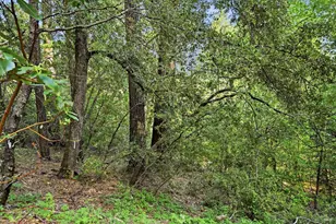 17097 Dogwood Way, Middletown, CA 95461 - Photo 31