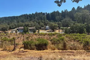 5141 Sharp Rd, Calistoga, CA 94515 - Photo 15