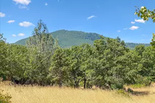 30391 Minnow Creek Ln, Round Mountain, CA 96084 - Photo 17