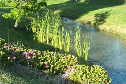 58 Barcelona Court, Fairfield, CA 94533 - Photo 29