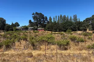 5141 Sharp Rd, Calistoga, CA 94515 - Photo 19