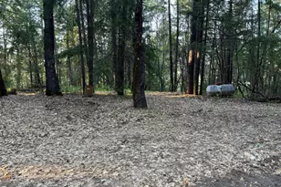 78601 Mina Rd, Covelo, CA 95428 - Photo 5