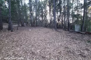 78601 Mina Rd, Covelo, CA 95428 - Photo 3