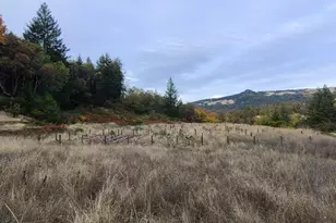 78577 Mina Rd, Covelo, CA 95428 - Photo 7