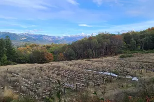 78577 Mina Rd, Covelo, CA 95428 - Photo 13