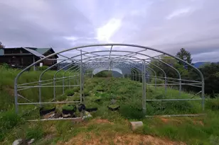 78621 Mina Rd, Covelo, CA 95428 - Photo 37