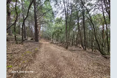 78621 Mina Road, Covelo, CA 95428 - Photo 21