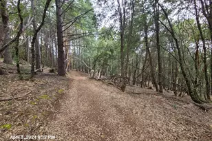 78621 Mina Rd, Covelo, CA 95428 - Photo 21