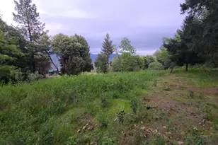 78621 Mina Rd, Covelo, CA 95428 - Photo 43