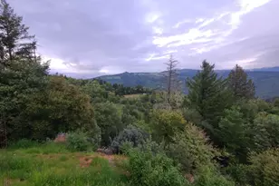 78621 Mina Rd, Covelo, CA 95428 - Photo 33