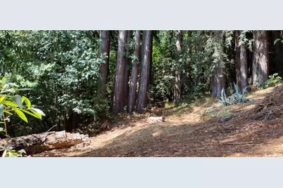 18355 Neeley Road, Guerneville, CA 95446 - Photo 7